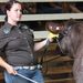 Profile Picture of Christy Baumeister (@christyannb12) on Pinterest