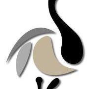 Profile Picture of Dawn McCarroll (@iamauntgoose) on Pinterest