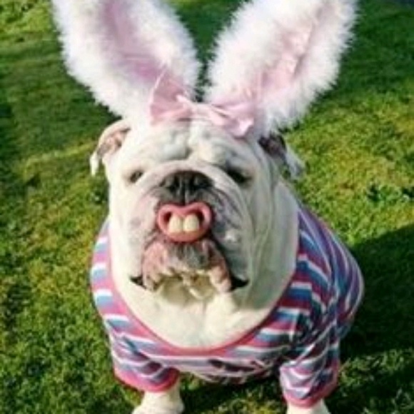 Profile Picture of Michael Hurd (@txraider08) on Poshmark