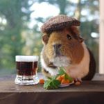 Profile Picture of carl Statham (@24stat) on Instagram