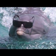 Bendrick Lamar - Twitter Profile Picture of Bendrick Lamar (@BennettTheWise) on Twitter