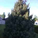 Profile Picture of conner joseph jarrell (@connerjosephjarr) on Instagram