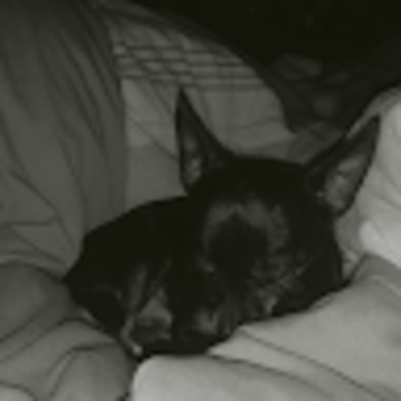 Profile Picture of Michael Salcedo (@1mycull2) on Poshmark