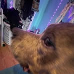 Joseph Ellis - Facebook Profile Picture of Joseph Ellis (@Joseph-Ellis) on Facebook