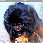 Profile Picture of David Rajkumar (@rajkumar.david) on Instagram