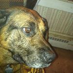 Profile Picture of Jim Vecchio (@jim.vecchio.7) on Instagram