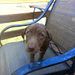 Profile Picture of Jonathan Humphreys (@jehumphreys7) on Pinterest