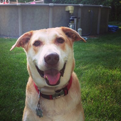 Profile Picture of Bob Gorham (@bighorn23) on Twitter