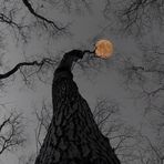 Profile Picture of Jimmy Sebastian (@jimmy.sebastian.5030) on Facebook