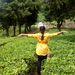 Profile Picture of vadha Yc (@vadhay) on Pinterest