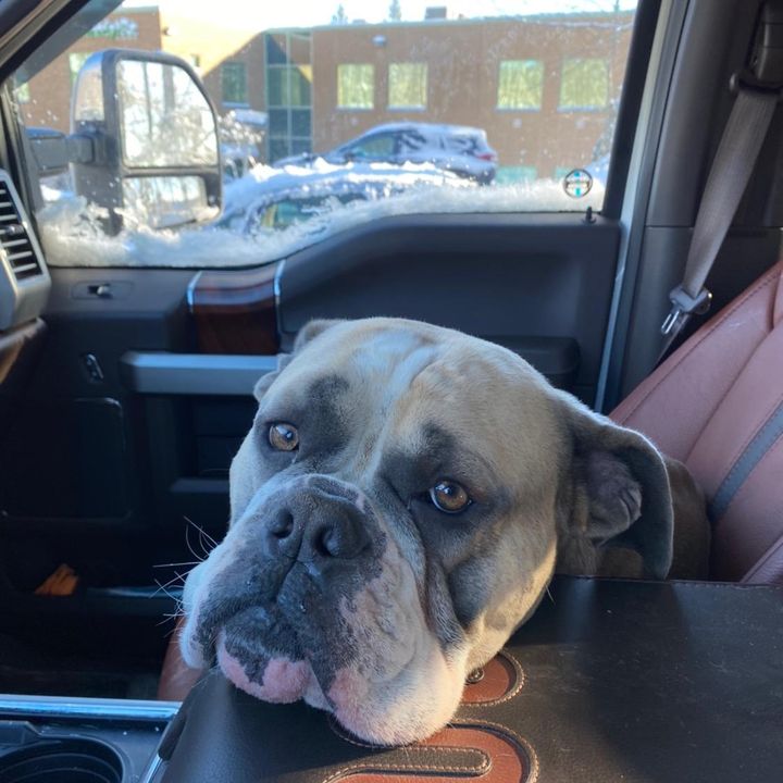 Profile Picture of Glenn Thornton (@@glennthornton3) on Tiktok