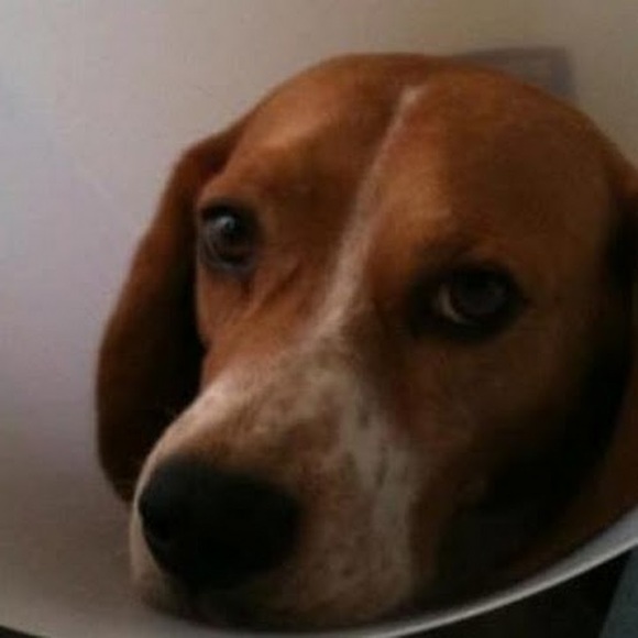 Profile Picture of Carlos Maass (@carlosmaass) on Poshmark