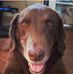 Profile Picture of David Ludden (@david.ludden.545) on Facebook