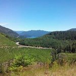 Profile Picture of Thomas Cathey (@thomas.cathey.37) on Instagram