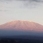 Profile Picture of Gilbert Maina (@gilbert.maina.mwangi) on Instagram