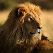 Profile Picture of Pathmanathan Pathmanathan (@PathmanathanPathmanathan-bb5kk) on Youtube