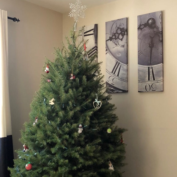 Profile Picture of Christina Toscano (@canojaim12) on Poshmark