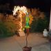 Profile Picture of Joyce Haskell (@joyce.haskell.75) on Facebook