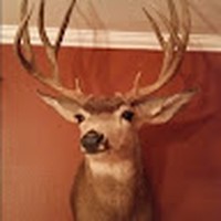 Profile Picture of Scott Stoneking (@scott-stoneking-7) on Quora
