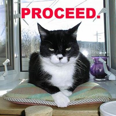 Profile Picture of Trisha Guy (@trisha_guy) on Twitter