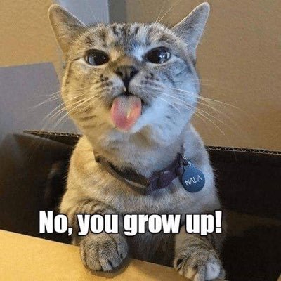 Profile Picture of Jo McGuffie Jordan (@jo_mcjordan) on Twitter