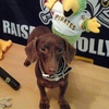 Profile Picture of Mark Rosenthal (@@30188487449) on Tiktok