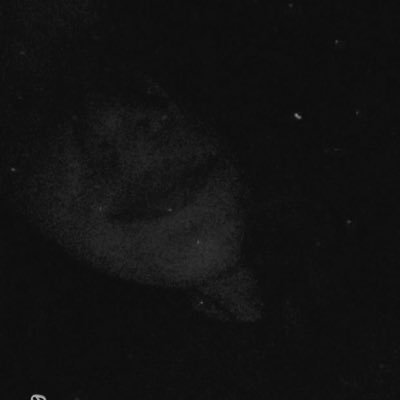 Profile Picture of Taylor Hargis (@taylorhargis11) on Twitter