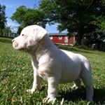 Profile Picture of Kim Etter Northcutt (@kjcutt) on Instagram