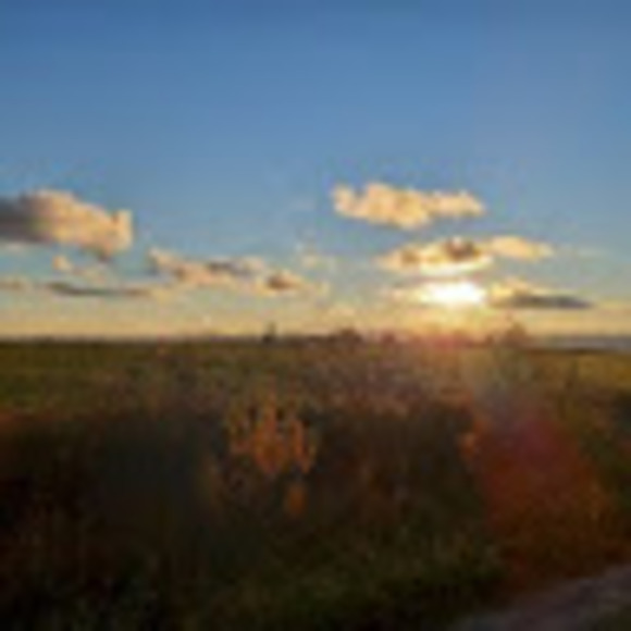 Profile Picture of James Peppard (@pepparjam) on Poshmark