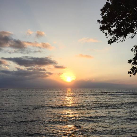 Profile Picture of Allan Gabriel (@allan_gabriel) on Poshmark