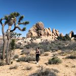 Profile Picture of Meg Healy (@megg_healy) on Instagram