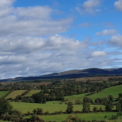 Profile Picture of Joe Hehir (@joejhehir) on Twitter