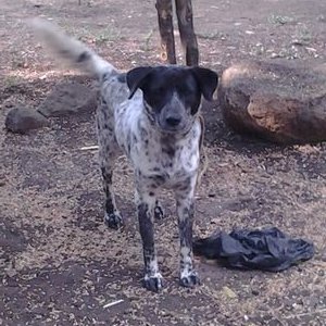 Profile Picture of Brian Campos (@JoeyCrater98) on Twitter