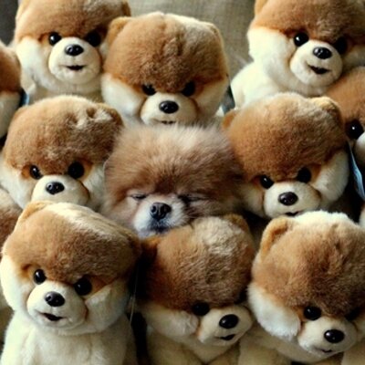 Profile Picture of Timmy Benson (@timmybenson2) on Twitter