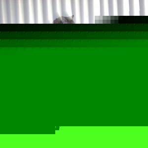 Profile Picture of Michael Trapani (@194344158) on Myspace