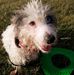 Profile Picture of Benjamin Witmer (@benjamin.witmer.75) on Facebook