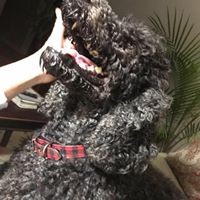 Profile Picture of Lori Hepler (@lori-hepler-1) on Quora