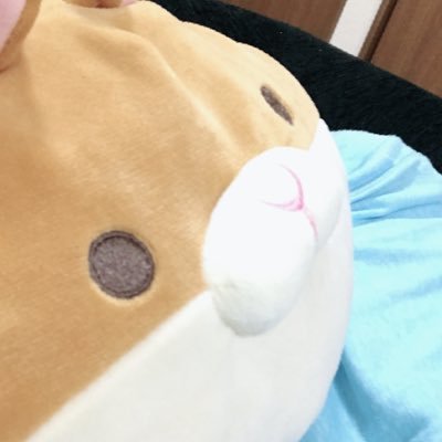Profile Picture of ハム (@fu_chi_pyon) on Twitter