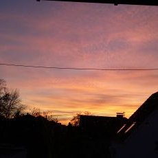 Profile Picture of Alena Loibl (@al5na_loi2l) on Twitter