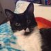 Profile Picture of Vivian Cardoza (@cardoza1695) on Pinterest