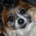 Profile Picture of Halliday Neil (@hallidayneil) on Pinterest