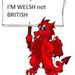 Profile Picture of David Botterill (@davidbotterill6) on Pinterest