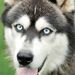 Profile Picture of Robin Stark (@RobinStark1602) on Pinterest