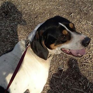 Profile Picture of Alex Nehls (@alex.nehls.33) on Facebook