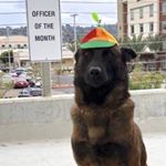 Profile Picture of Vincent Ward (@vinnie_draw) on Instagram