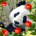 Profile Picture of Benjamin Miranda (@fredy.miranda.90834) on Facebook