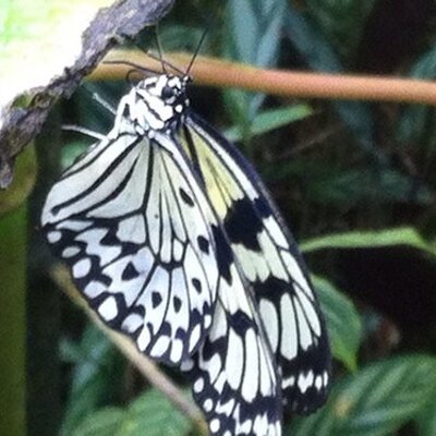 Profile Picture of Beverley Graham (@beebawbev) on Twitter