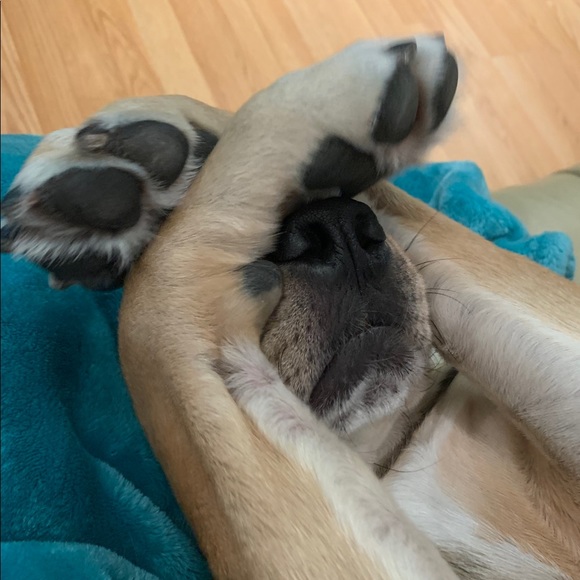 Jennifer Dresen - Poshmark Profile Picture of Jennifer Dresen (@jenniferdresen) on Poshmark