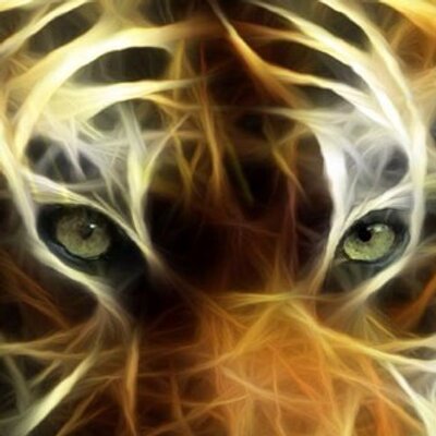 Profile Picture of Brandon Easley (@brandon_easley) on Twitter