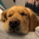 Profile Picture of Sarah Cramer (@sarah_cramer) on Instagram